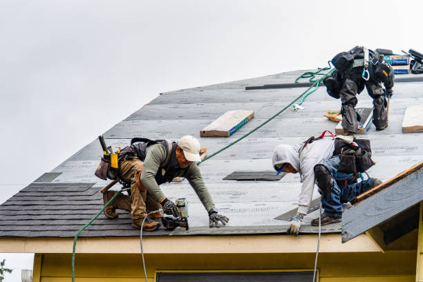 Professional Storm Damage Roof Repair technician working in Macclesfield, NC